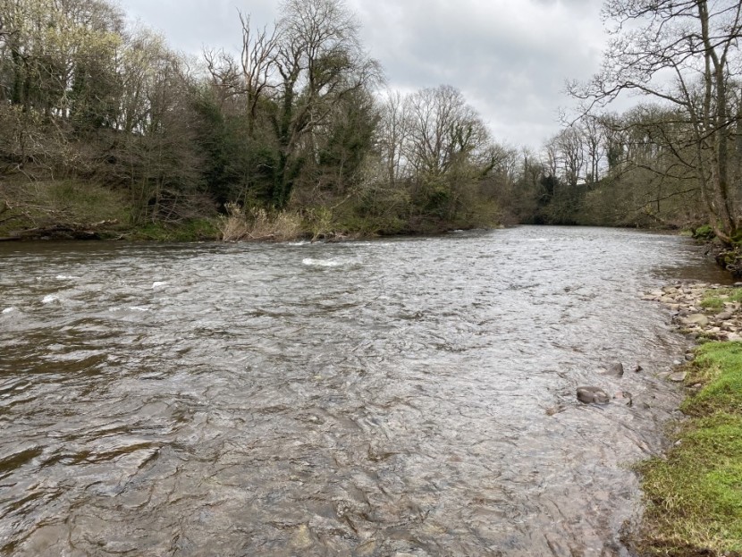 High water on the Usk - FR from Hereford